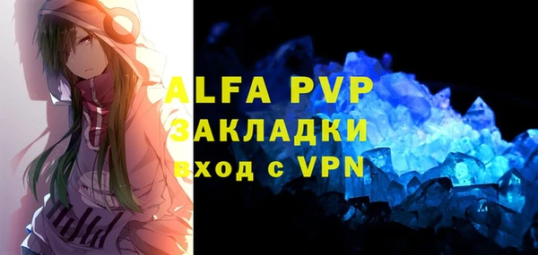 стафф Карпинск