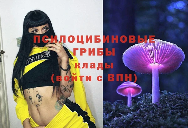 ALPHA PVP Козельск
