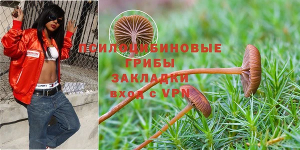 винт Кинешма