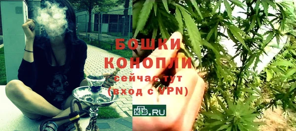 ALPHA PVP Козельск