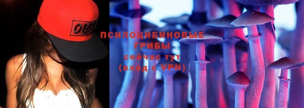 mdpv Козловка