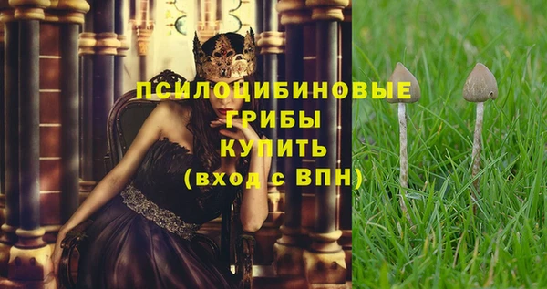 ПСИЛОЦИБИНОВЫЕ ГРИБЫ Кодинск