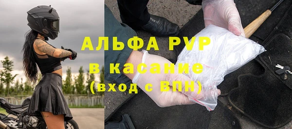 крисы Касимов