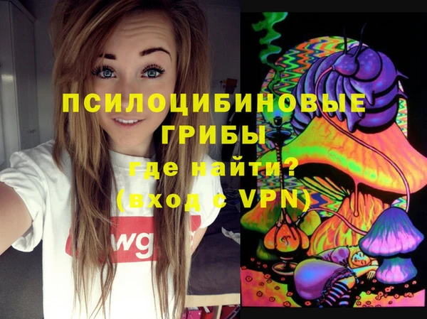 mdpv Козловка