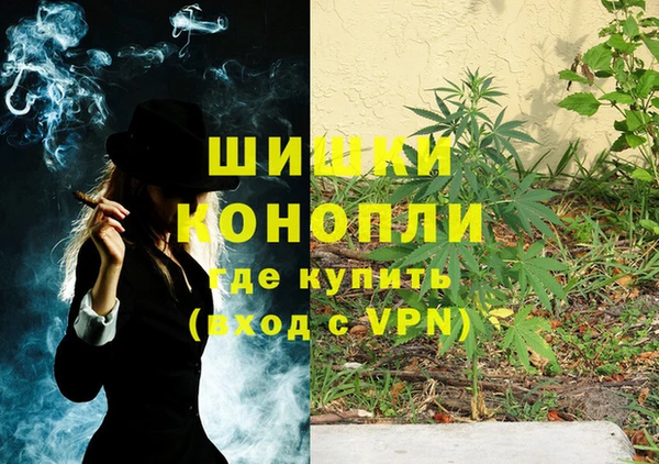 ALPHA PVP Козельск